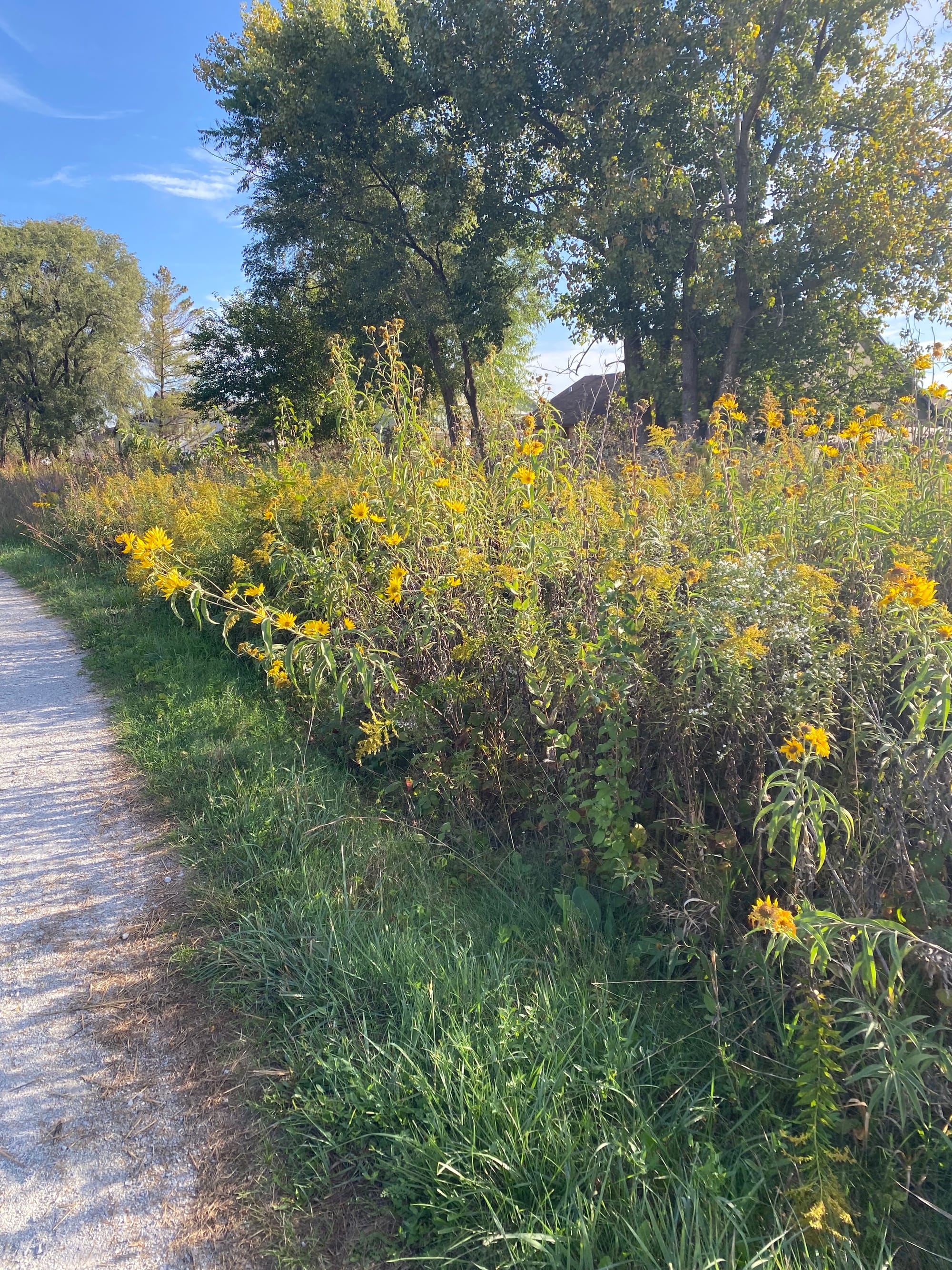 October is for Harvesting Love