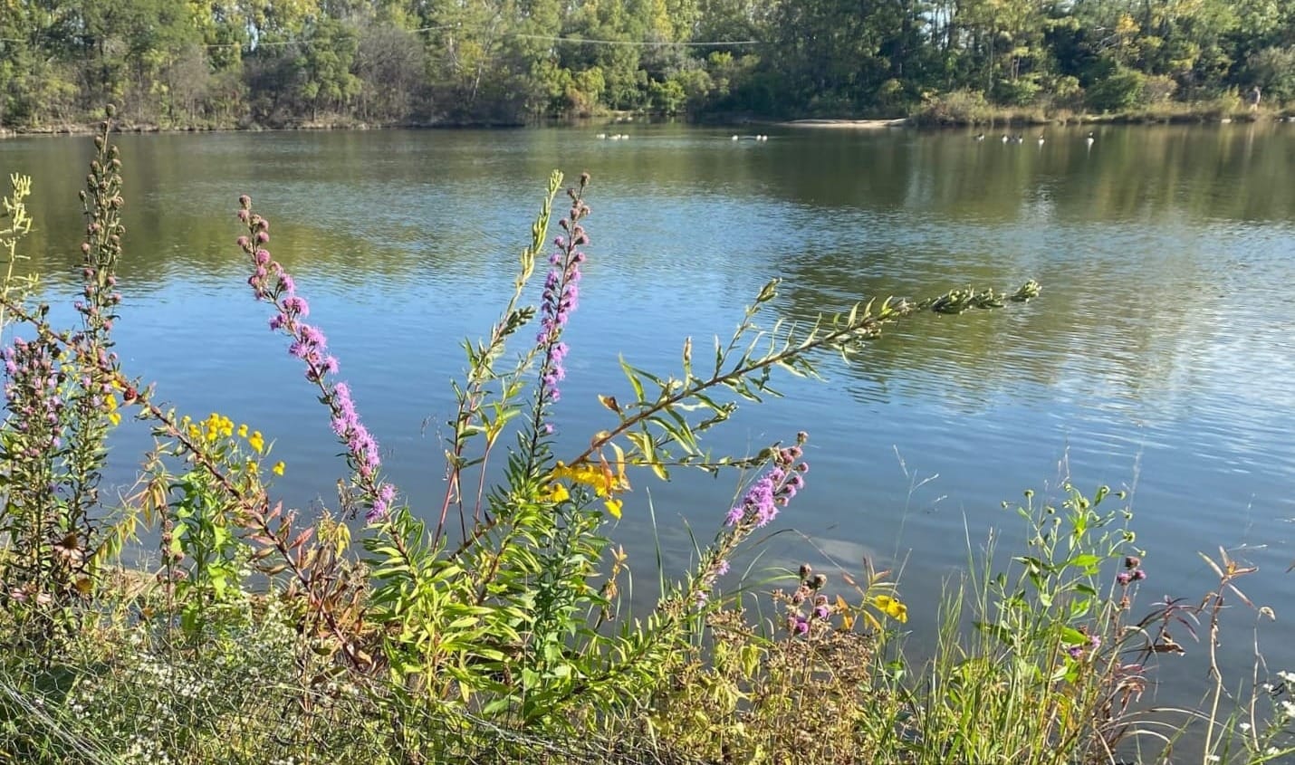 October is for Harvesting Love