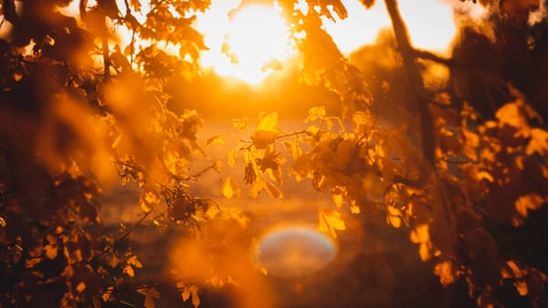 A Resolution Revealed