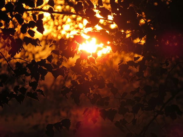 December is the Ritual.